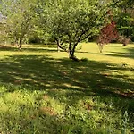 L'arbre De Vie 24 *