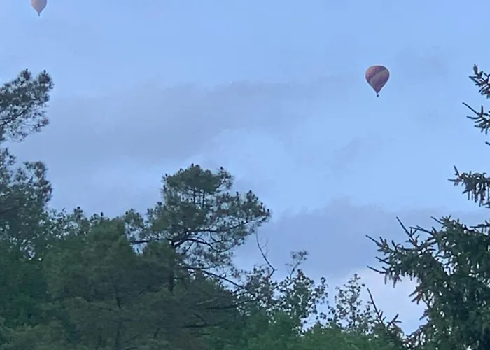 Дом отдыха L'arbre De Vie 24